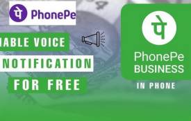How To Download And Install PhonePe Mod APK On Your Phone?